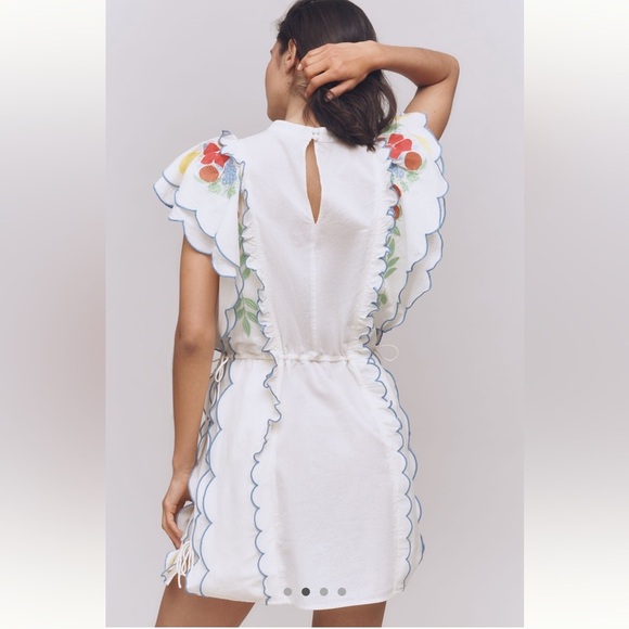 Farm Rio x Anthropologie Embroidered Ruffle mini Dress - Picture 2 of 15